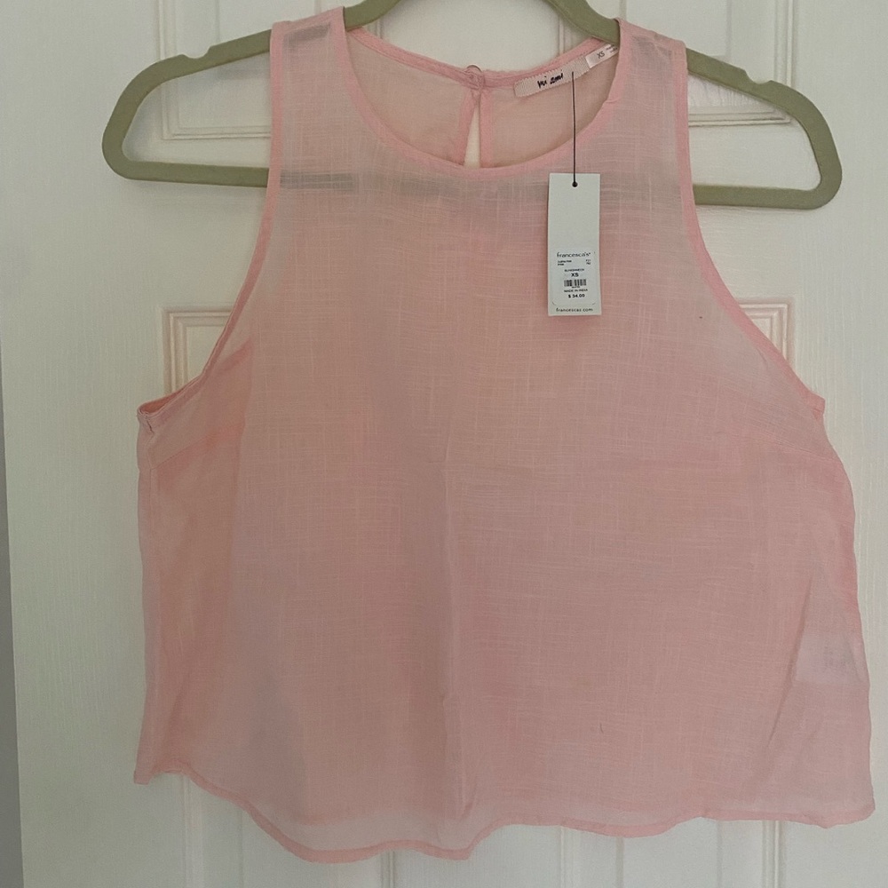 Francesca's Blush Pink Sheer Top